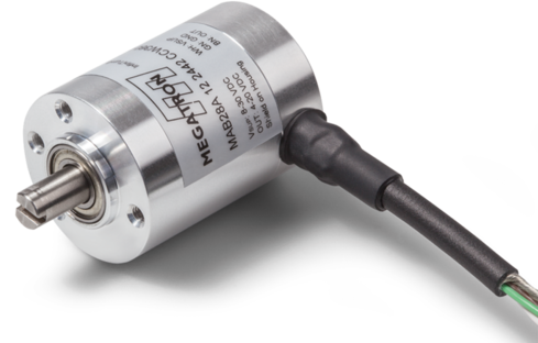 Detail Encoder