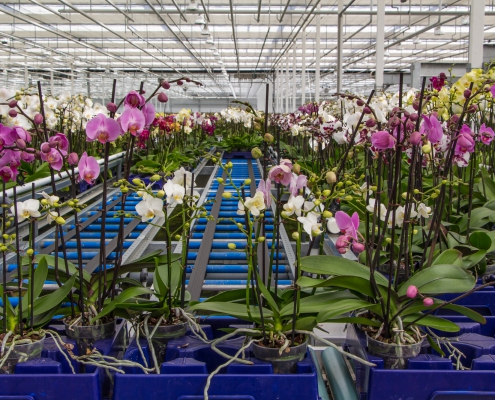 Roterende encoders voor aandrijvingen