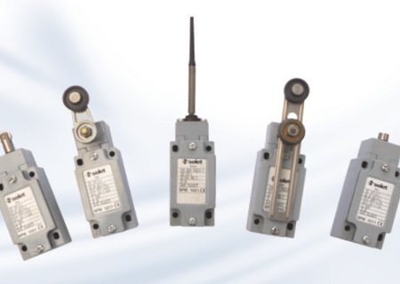 SFM21xx Mechanical Limit Switch with one-way lever with roller | Pi-Tronic