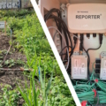 Scheurmeter | Lineaire Sensor