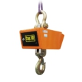 BWI-CSR Crane Scale