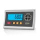 BX21S Basic Weegindicator Serie