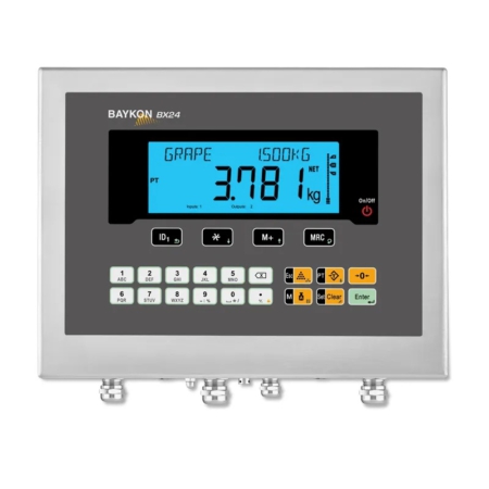 BX24/BX24D Weegindicator Serie